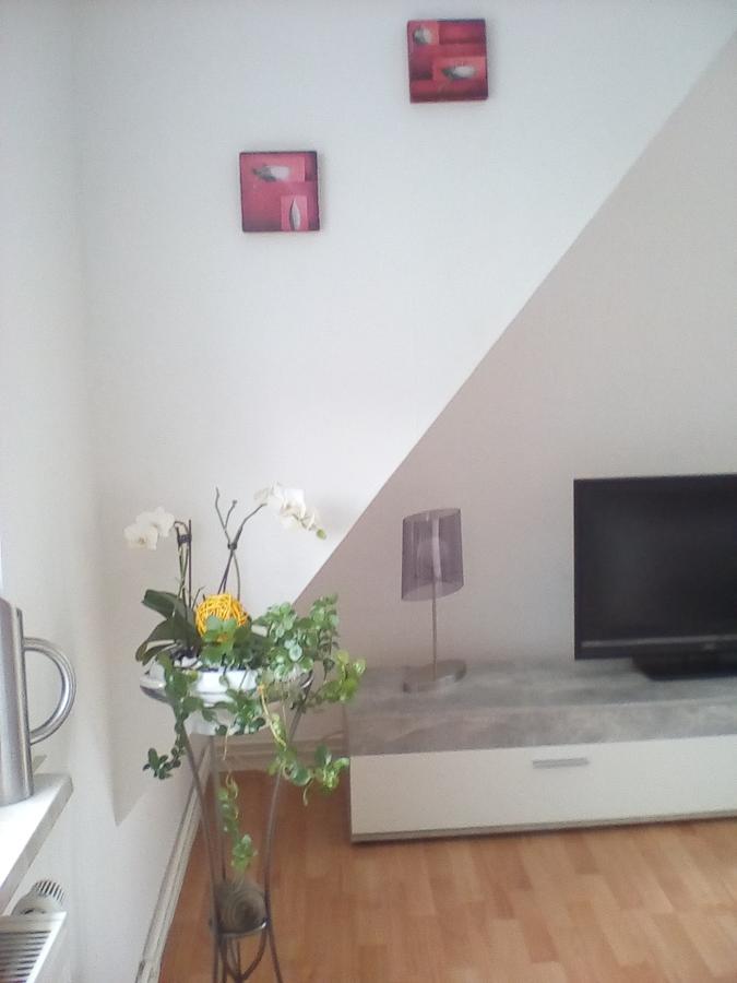 Ferienwohnung Am Geiersberg Walkenried Екстериор снимка