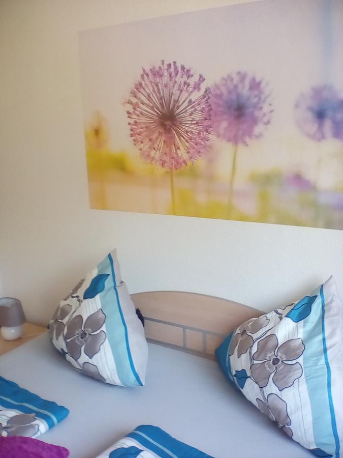 Ferienwohnung Am Geiersberg Walkenried Екстериор снимка