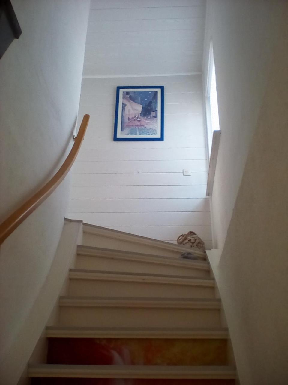 Ferienwohnung Am Geiersberg Walkenried Екстериор снимка