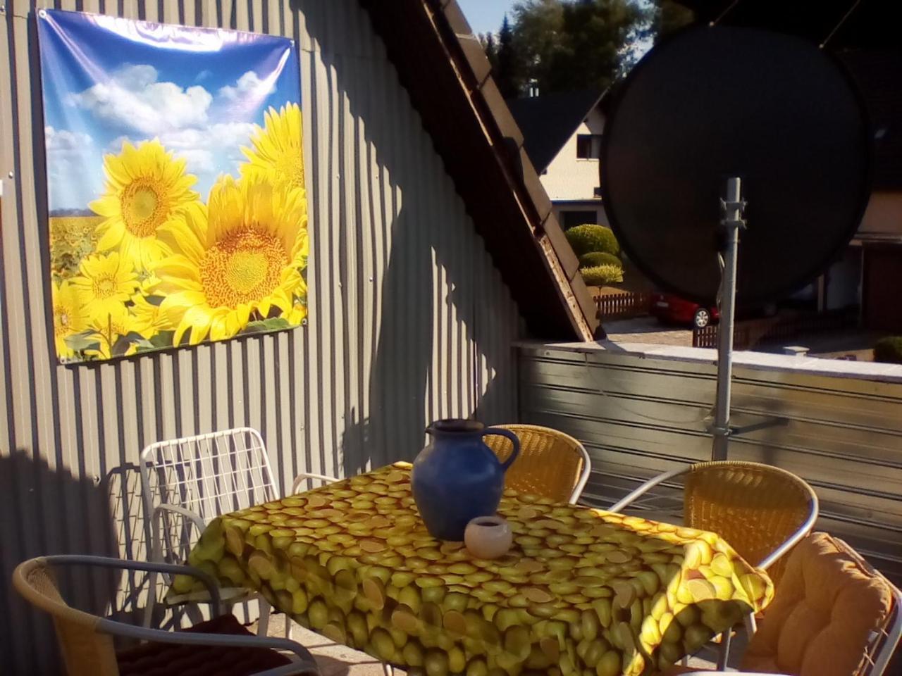Ferienwohnung Am Geiersberg Walkenried Екстериор снимка