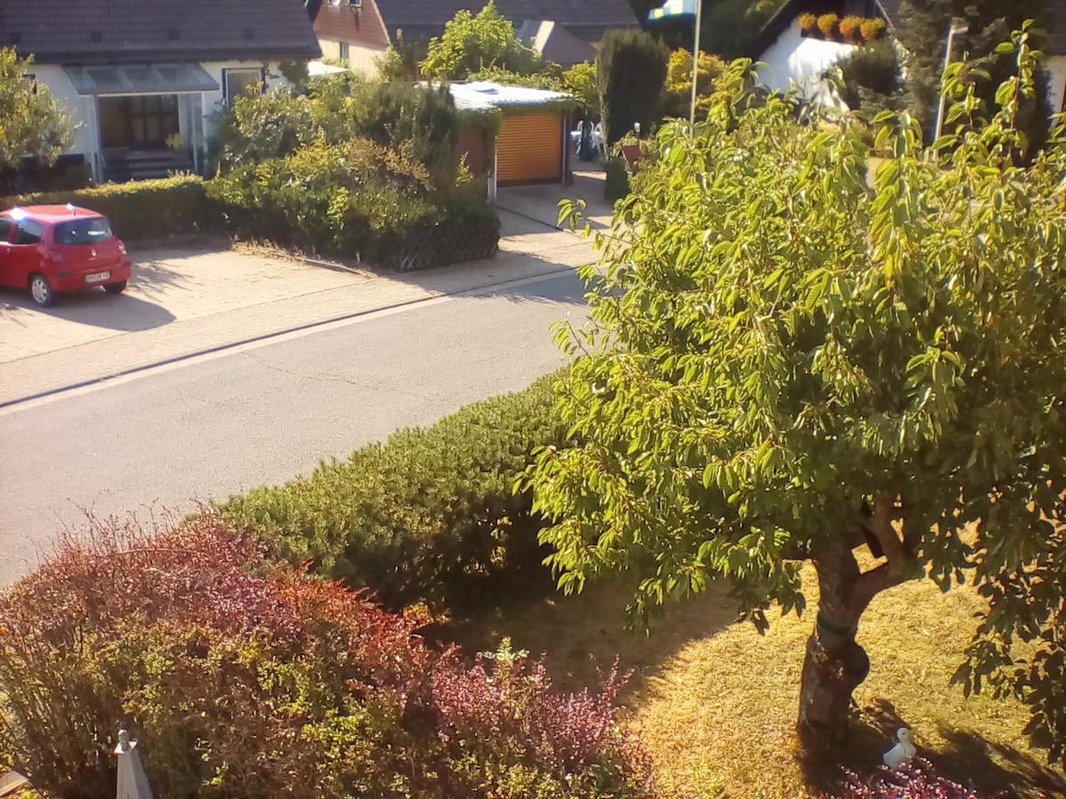 Ferienwohnung Am Geiersberg Walkenried Екстериор снимка